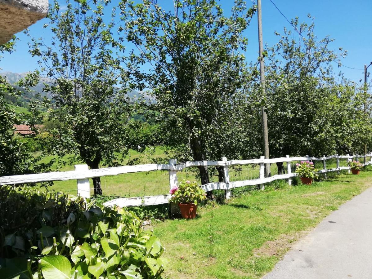 La Casa Nueva Alojamiento Rural Cereceda  Eksteriør billede