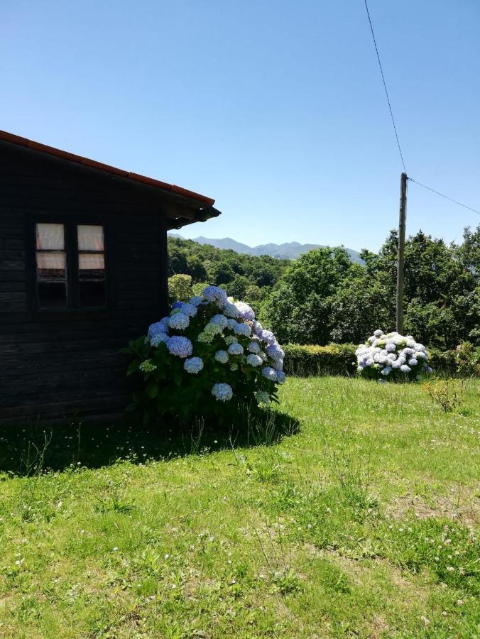 La Casa Nueva Alojamiento Rural Cereceda  Eksteriør billede
