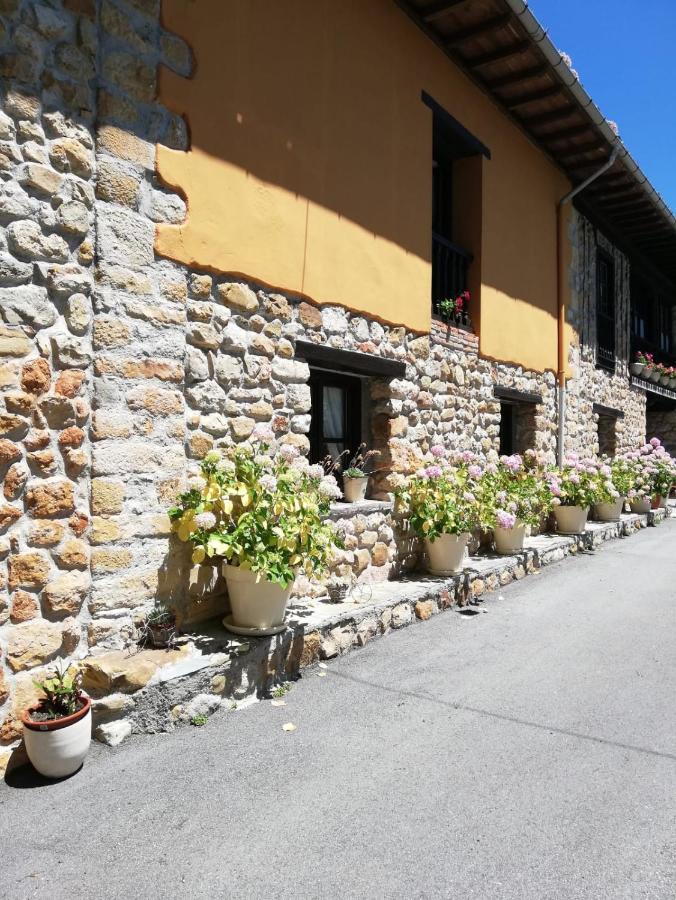 La Casa Nueva Alojamiento Rural Cereceda  Eksteriør billede