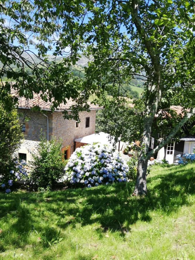 La Casa Nueva Alojamiento Rural Cereceda  Eksteriør billede