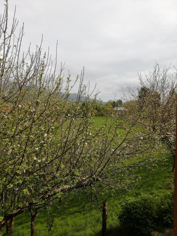 La Casa Nueva Alojamiento Rural Cereceda  Eksteriør billede