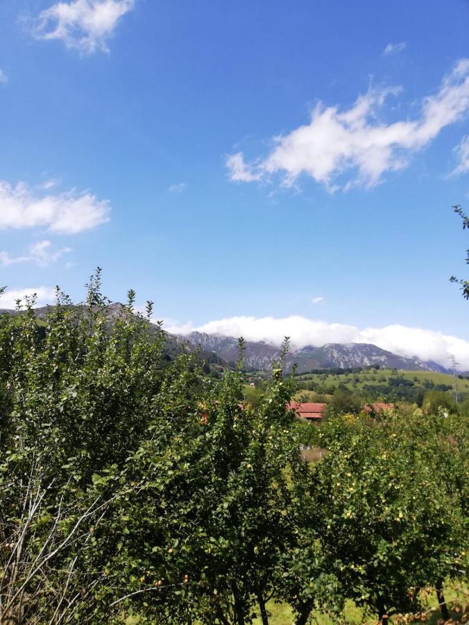 La Casa Nueva Alojamiento Rural Cereceda  Eksteriør billede